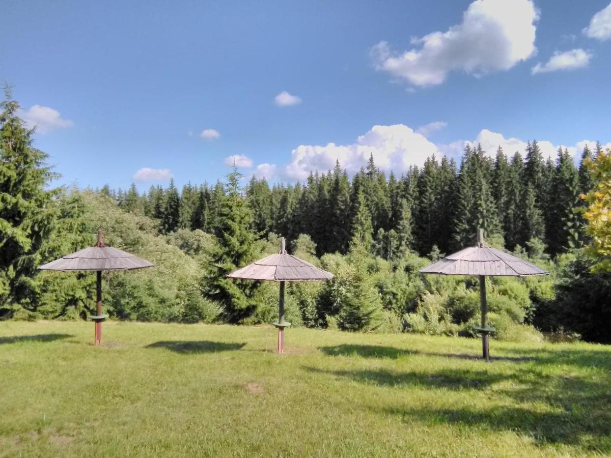 Casa Paltin Vila Si Cabane Poiana Stampei Buitenkant foto