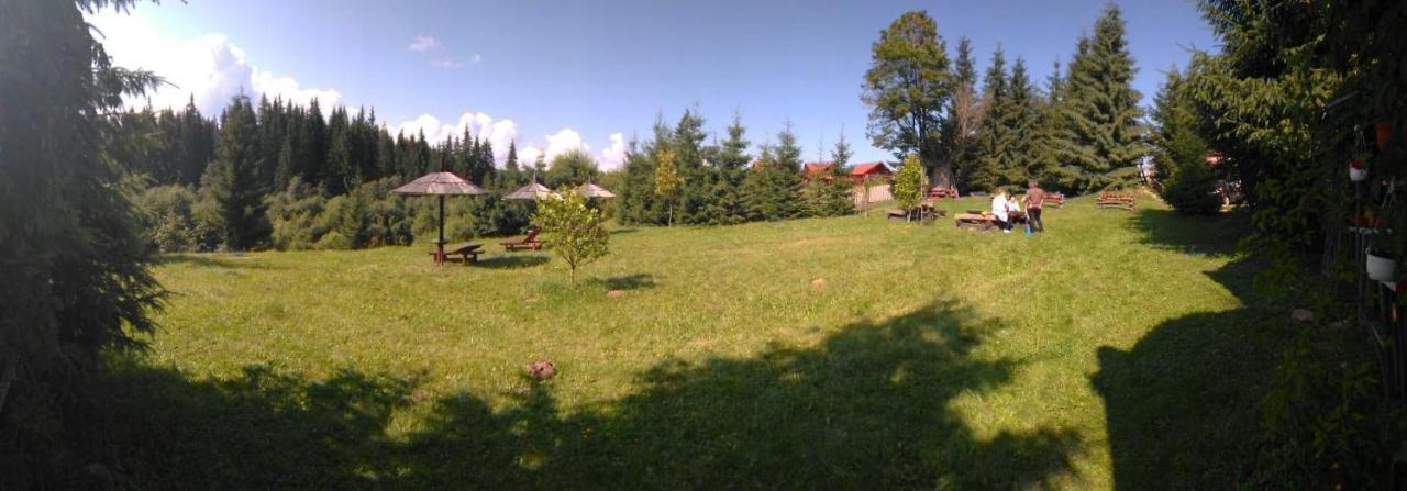 Casa Paltin Vila Si Cabane Poiana Stampei Buitenkant foto