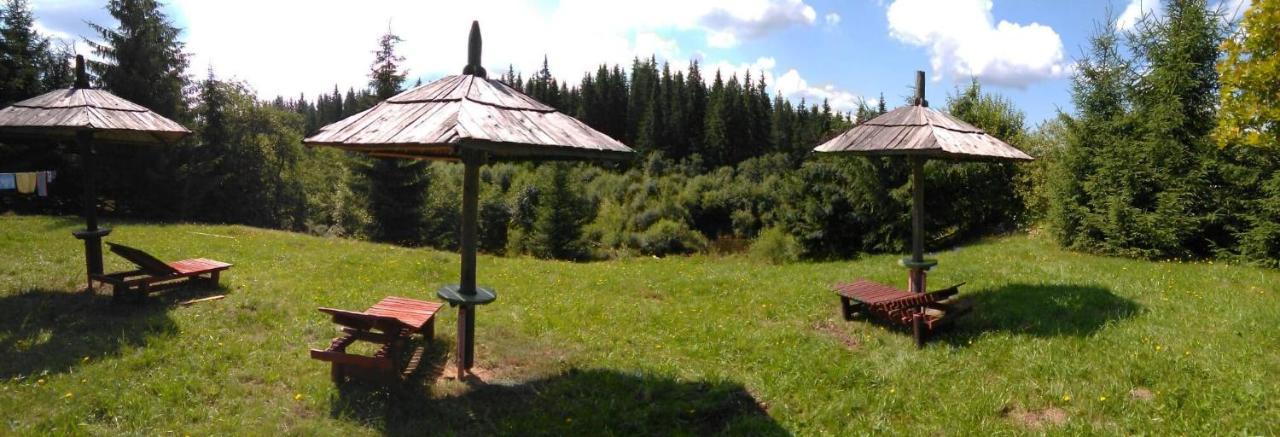 Casa Paltin Vila Si Cabane Poiana Stampei Buitenkant foto