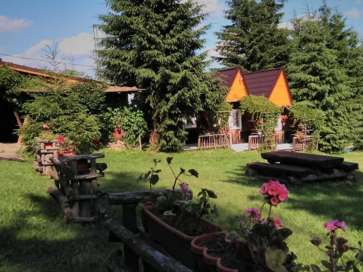 Casa Paltin Vila Si Cabane Poiana Stampei Buitenkant foto