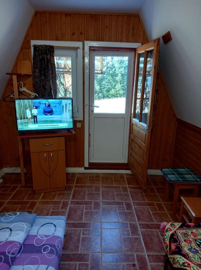 Casa Paltin Vila Si Cabane Poiana Stampei Buitenkant foto