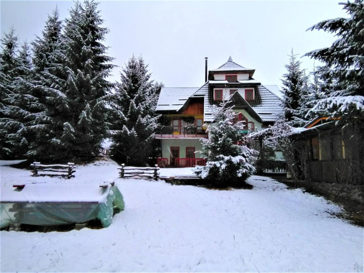Casa Paltin Vila Si Cabane Poiana Stampei Buitenkant foto
