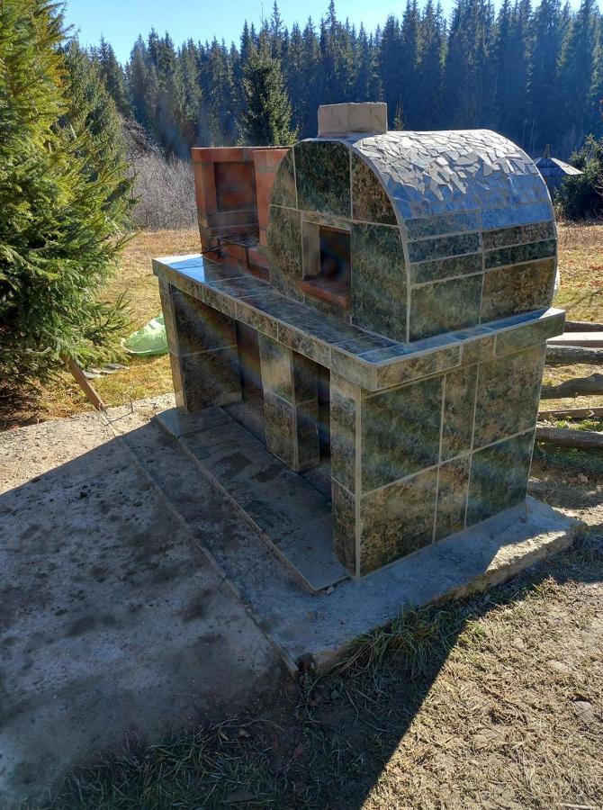 Casa Paltin Vila Si Cabane Poiana Stampei Buitenkant foto