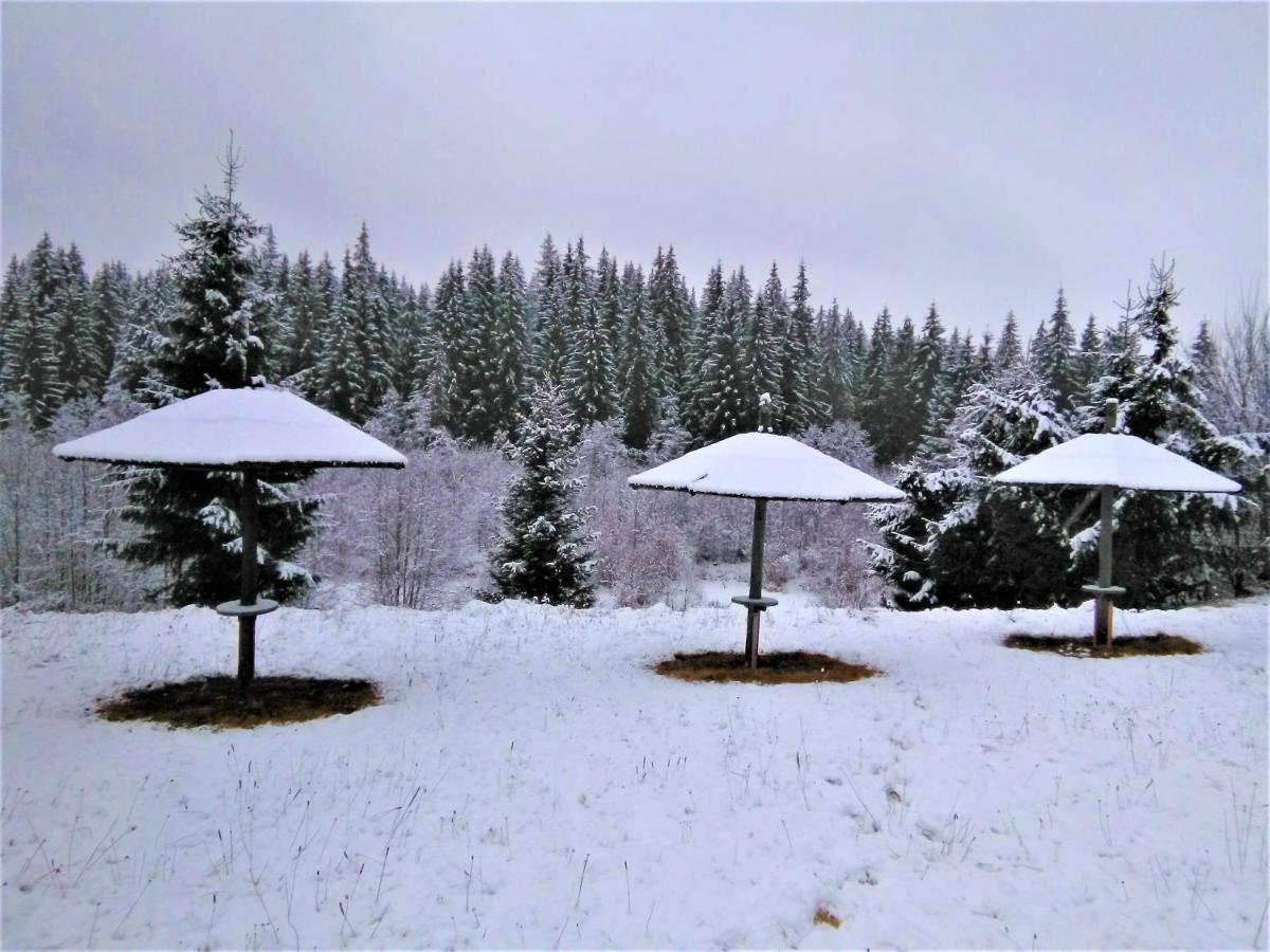 Casa Paltin Vila Si Cabane Poiana Stampei Buitenkant foto