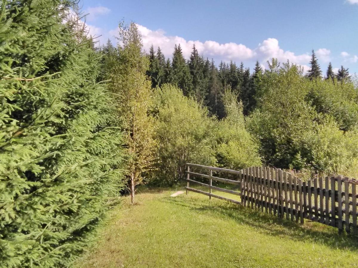 Casa Paltin Vila Si Cabane Poiana Stampei Buitenkant foto