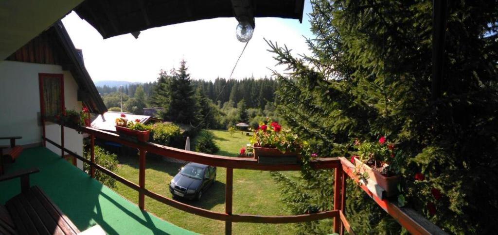 Casa Paltin Vila Si Cabane Poiana Stampei Buitenkant foto